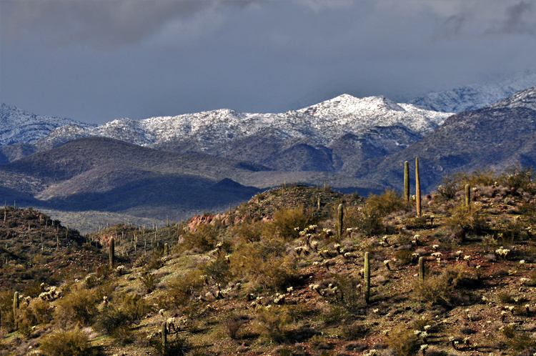 snow-capped mtns